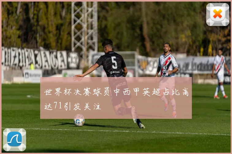 世界杯决赛球员中西甲英超占比高达71引发关注